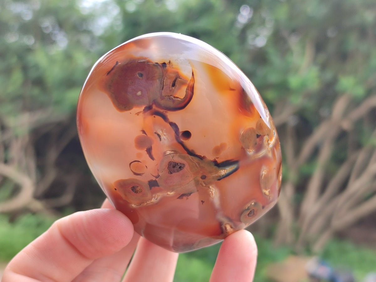 Polished Mixed Assortment of Retail items x 6 From Southern Africa - Toprock Gemstones and Minerals 