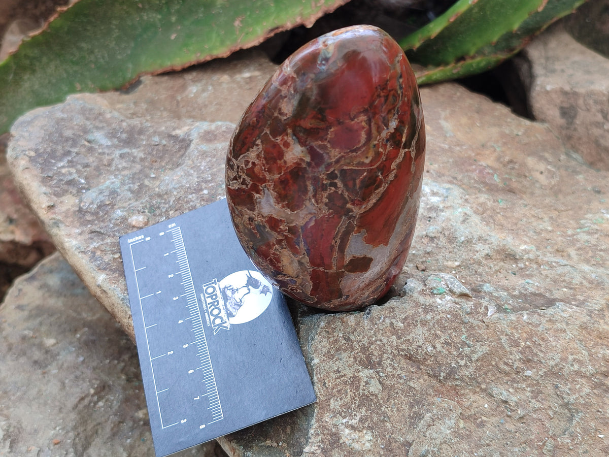 Polished Mixed Assortment of Retail items x 6 From Southern Africa - Toprock Gemstones and Minerals 