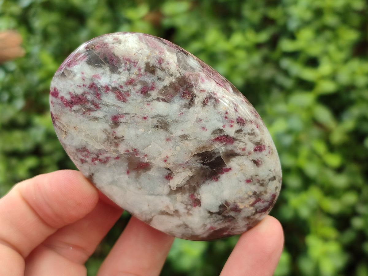 Polished Mixed Assortment of Retail items x 6 From Southern Africa - Toprock Gemstones and Minerals 