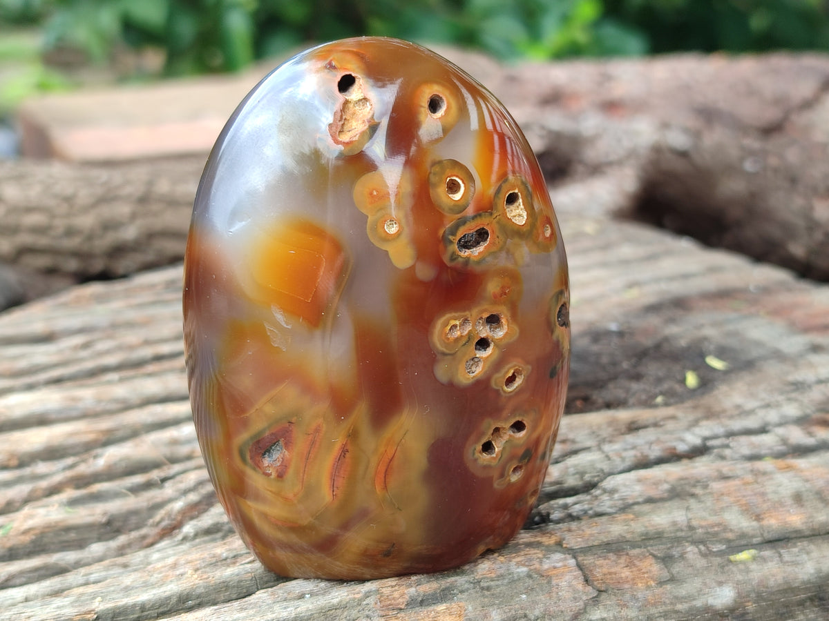 Polished Mixed Assortment of Retail items x 6 From Southern Africa - Toprock Gemstones and Minerals 