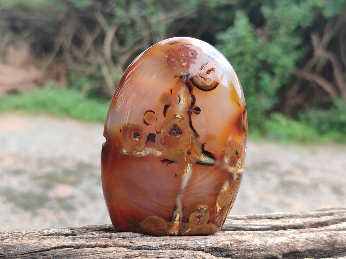 Polished Mixed Assortment of Retail items x 6 From Southern Africa - Toprock Gemstones and Minerals 