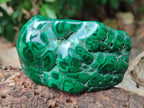 Polished Flower Banded Malachite Free Forms x 6 From Congo - Toprock Gemstones and Minerals 