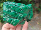 Polished Flower Banded Malachite Free Forms x 6 From Congo - Toprock Gemstones and Minerals 