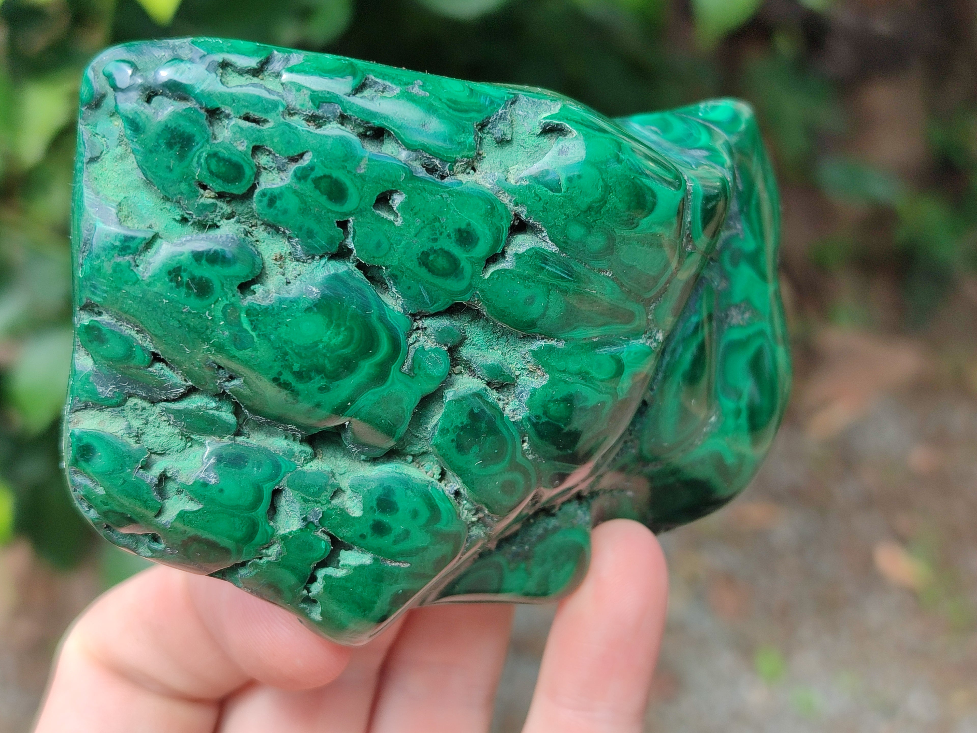 Polished Flower Banded Malachite Free Forms x 6 From Congo - Toprock Gemstones and Minerals 