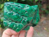 Polished Flower Banded Malachite Free Forms x 6 From Congo