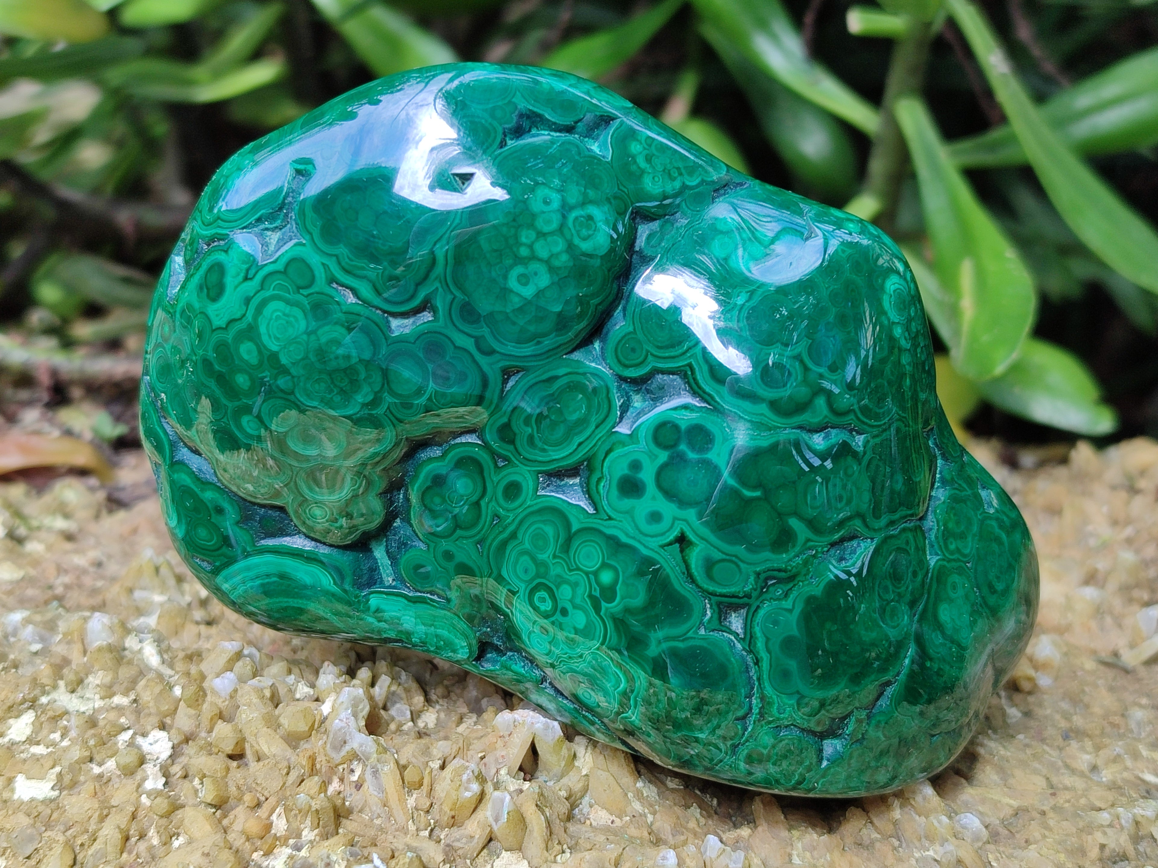 Polished Flower Banded Malachite Free Forms x 6 From Congo - Toprock Gemstones and Minerals 