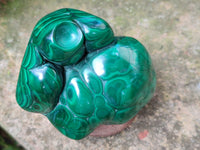 Polished Flower Banded Malachite Free Forms x 6 From Congo