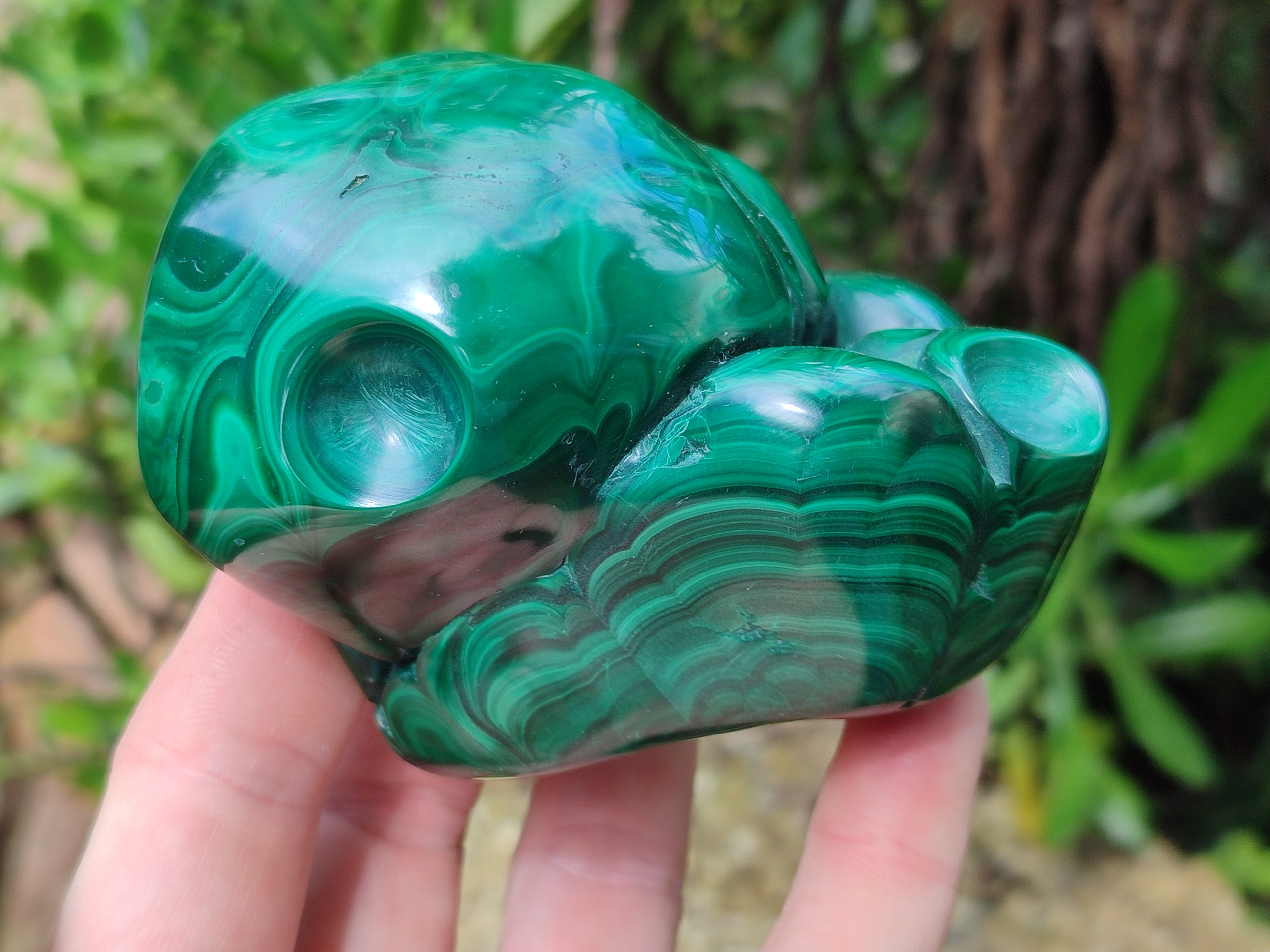 Polished Flower Banded Malachite Free Forms x 6 From Congo - Toprock Gemstones and Minerals 