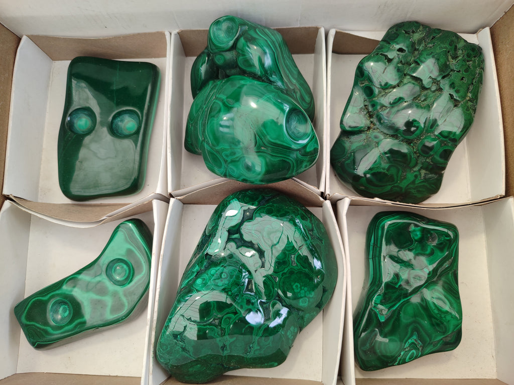 Polished Flower Banded Malachite Free Forms x 6 From Congo - Toprock Gemstones and Minerals 