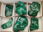 Polished Flower Banded Malachite Free Forms x 6 From Congo - Toprock Gemstones and Minerals 