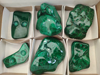 Polished Flower Banded Malachite Free Forms x 6 From Congo