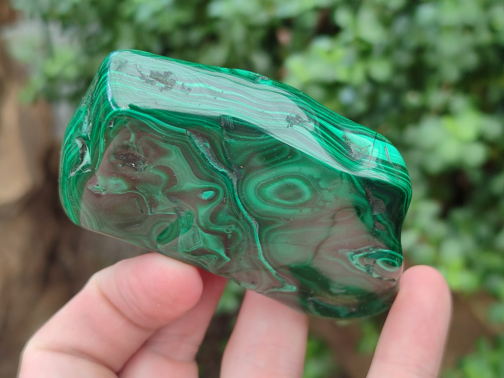 Polished Flower Banded Malachite Free Forms x 6 From Congo - Toprock Gemstones and Minerals 