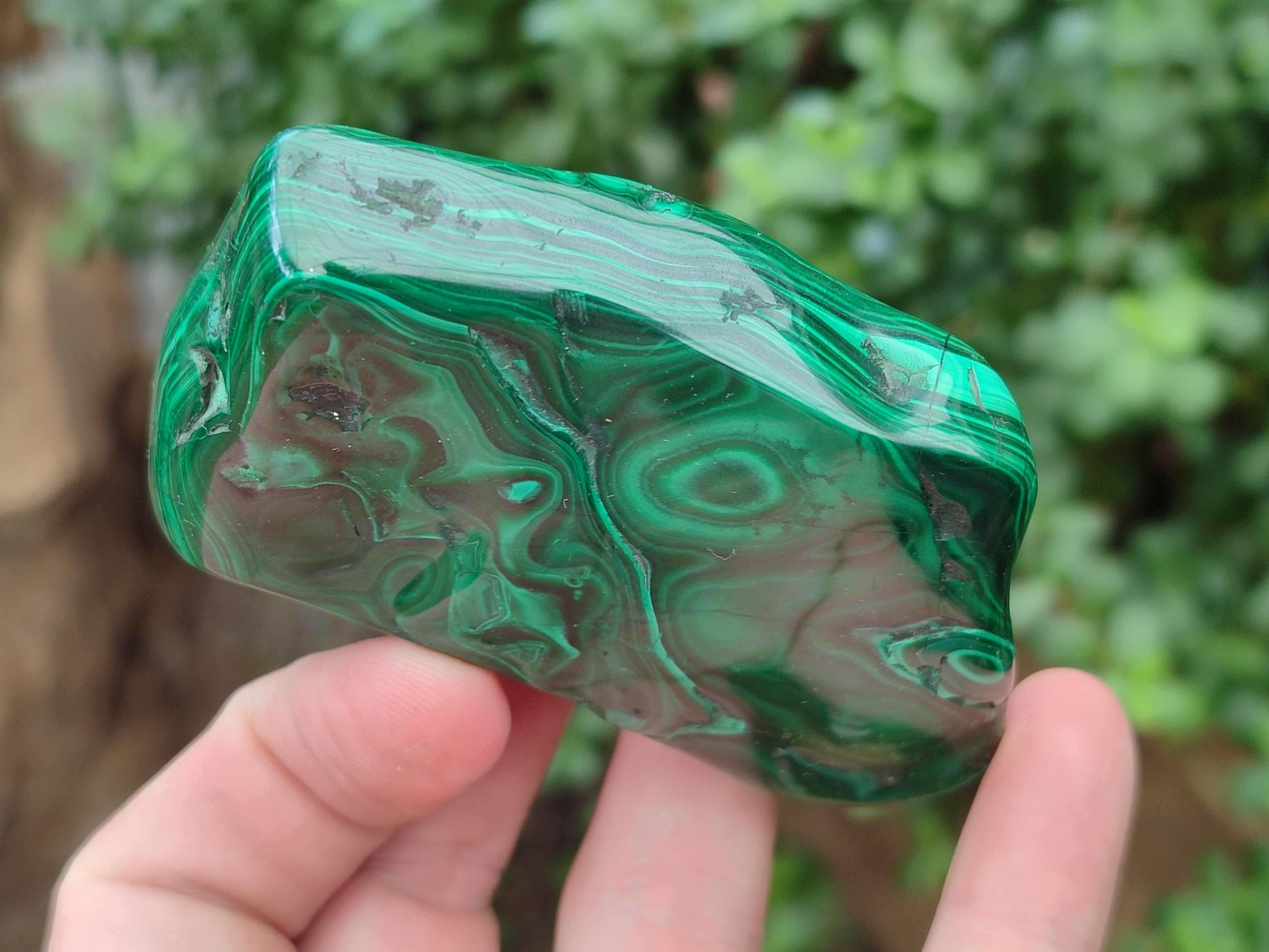 Polished Flower Banded Malachite Free Forms x 6 From Congo - Toprock Gemstones and Minerals 