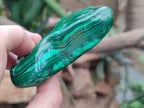 Polished Flower Banded Malachite Free Forms x 6 From Congo - Toprock Gemstones and Minerals 