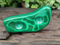 Polished Flower Banded Malachite Free Forms x 6 From Congo