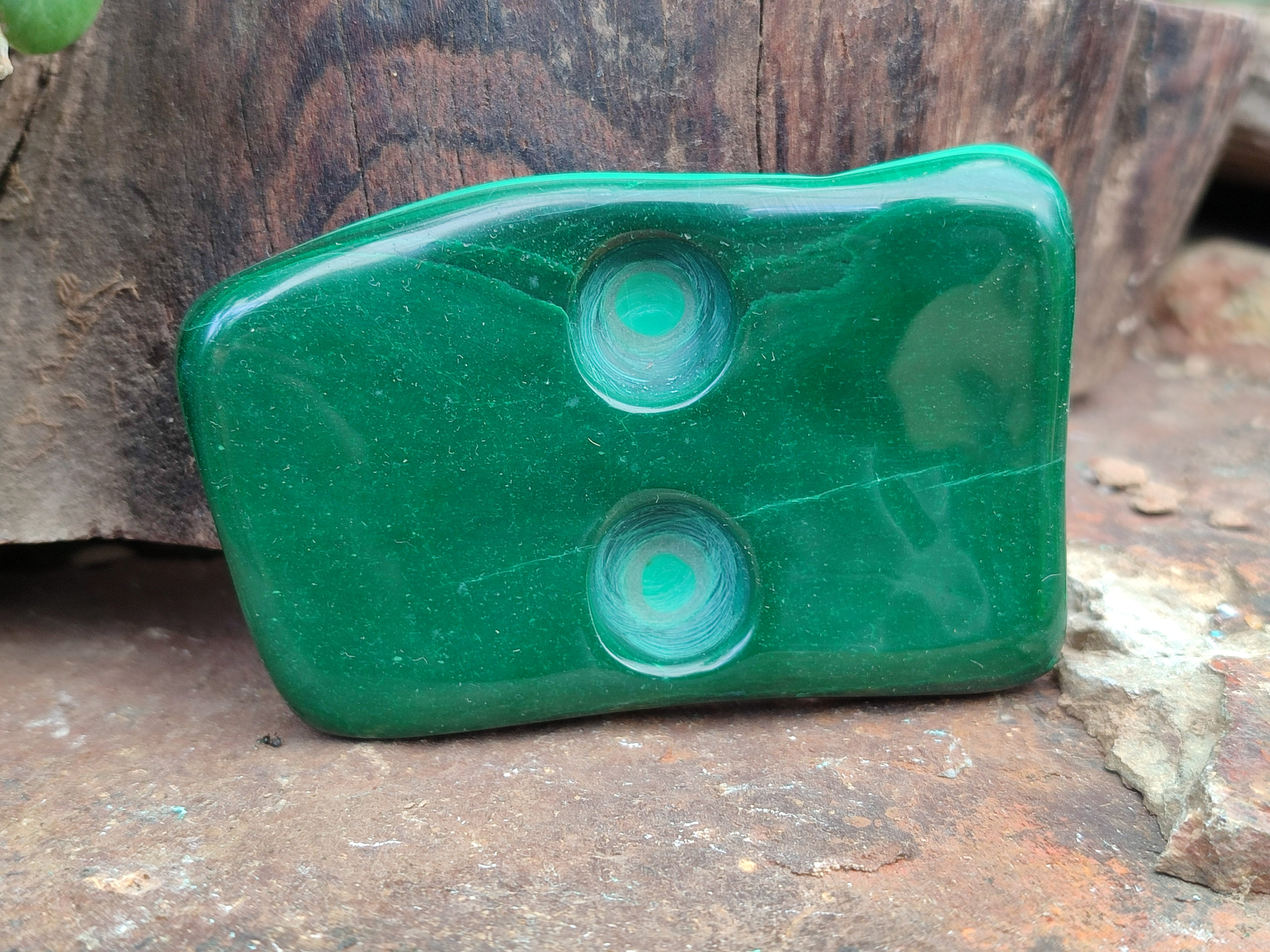 Polished Flower Banded Malachite Free Forms x 6 From Congo - Toprock Gemstones and Minerals 