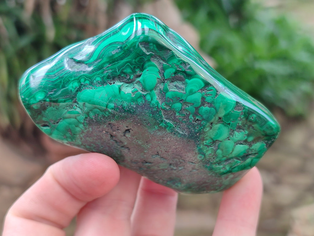 Polished Flower Banded Malachite Free Forms x 6 From Congo - Toprock Gemstones and Minerals 