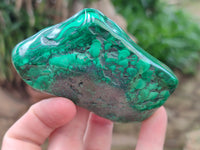 Polished Flower Banded Malachite Free Forms x 6 From Congo