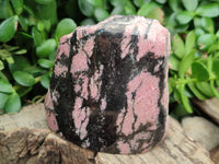 Polished on One Side Rhodonite Nodules x 5 From Ambindavato, Madagascar