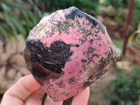 Polished on One Side Rhodonite Nodules x 5 From Ambindavato, Madagascar