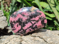 Polished on One Side Rhodonite Nodules x 5 From Ambindavato, Madagascar