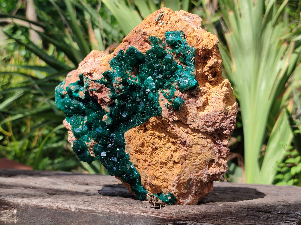 Natural Rare Dioptase Cabinet Specimen x 1 From Likasi, Congo - Toprock Gemstones and Minerals 