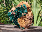 Natural Rare Dioptase Cabinet Specimen x 1 From Likasi, Congo - Toprock Gemstones and Minerals 