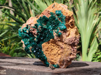 Natural Rare Dioptase Cabinet Specimen x 1 From Likasi, Congo