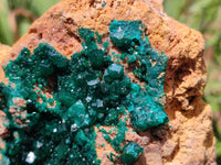 Natural Rare Dioptase Cabinet Specimen x 1 From Likasi, Congo