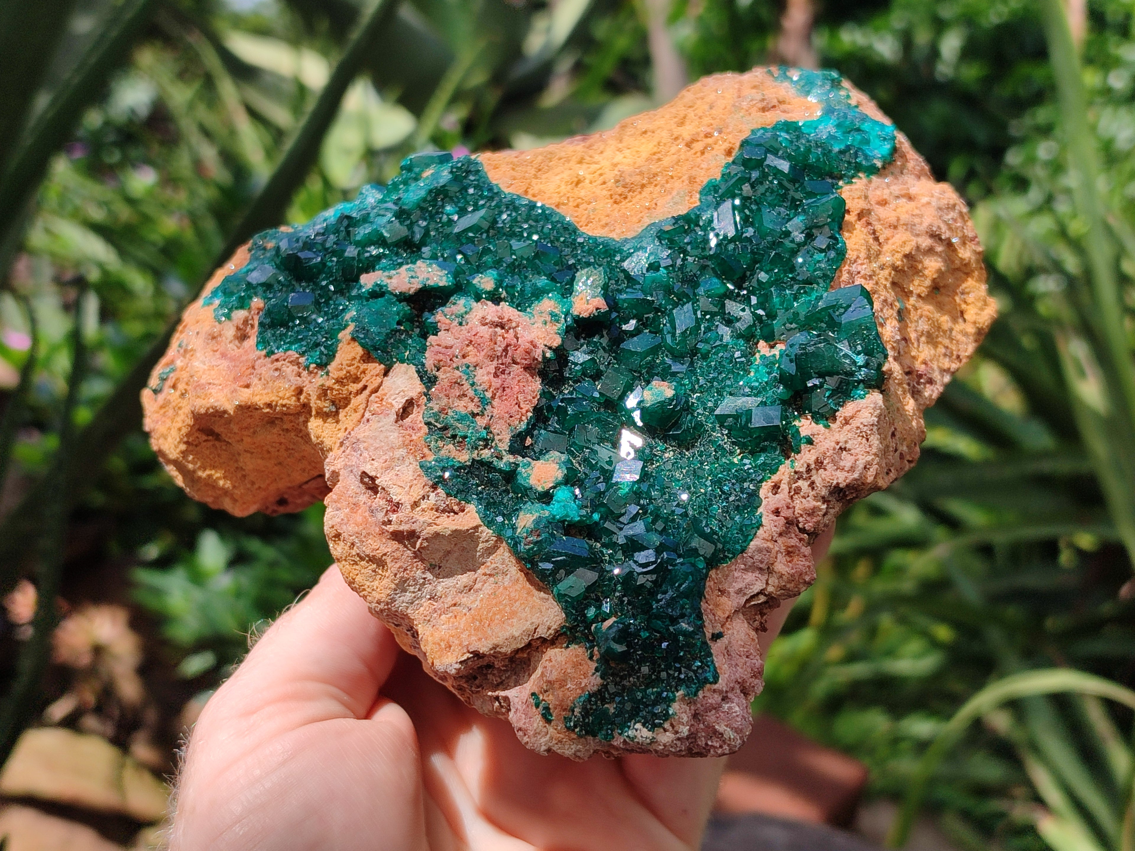 Natural Rare Dioptase Cabinet Specimen x 1 From Likasi, Congo - Toprock Gemstones and Minerals 