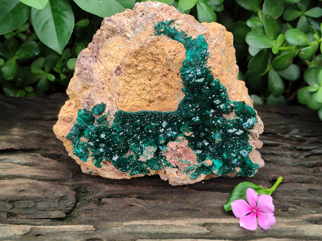 Natural Rare Dioptase Cabinet Specimen x 1 From Likasi, Congo - Toprock Gemstones and Minerals 