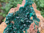 Natural Rare Dioptase Cabinet Specimen x 1 From Likasi, Congo - Toprock Gemstones and Minerals 
