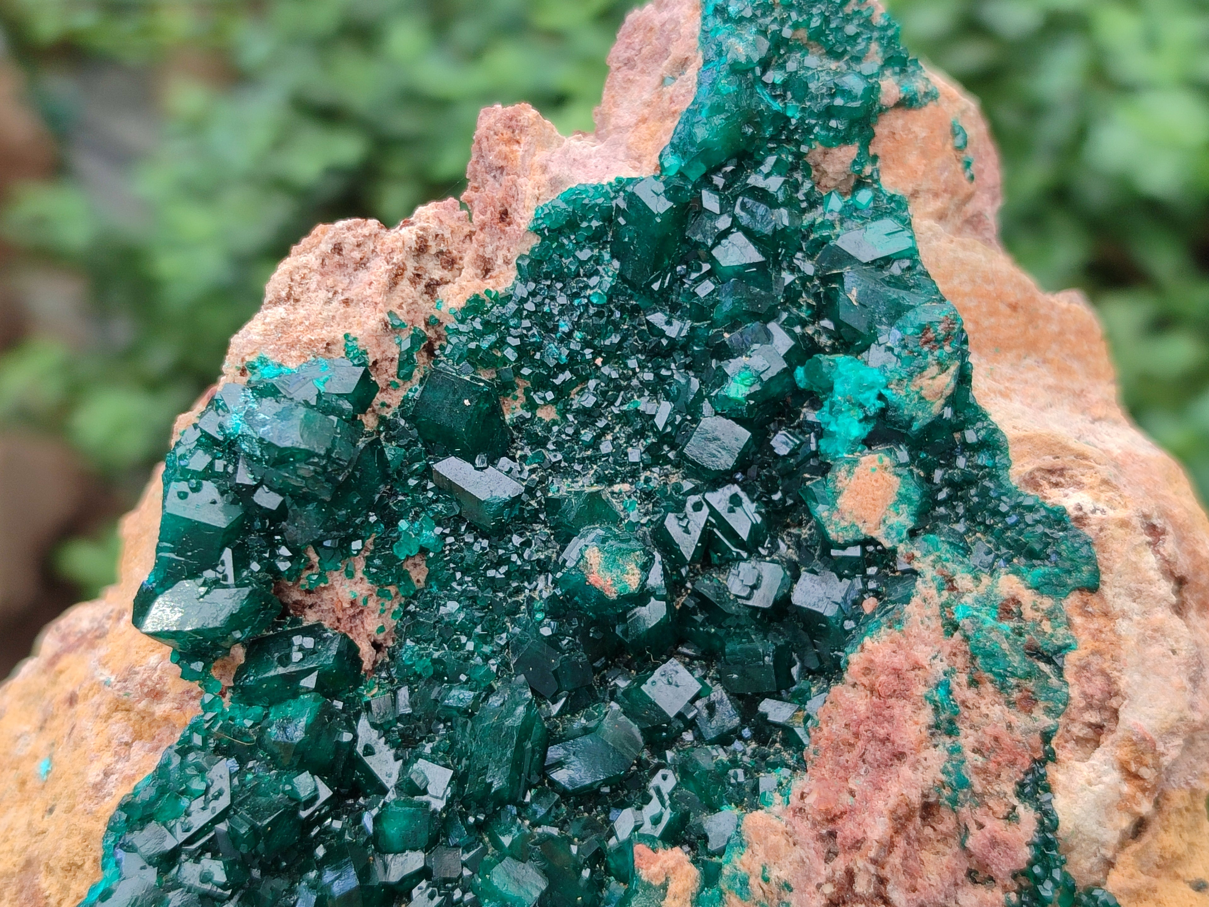 Natural Rare Dioptase Cabinet Specimen x 1 From Likasi, Congo - Toprock Gemstones and Minerals 