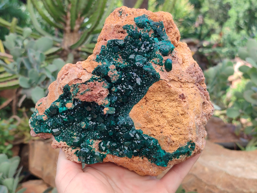 Natural Rare Dioptase Cabinet Specimen x 1 From Likasi, Congo - Toprock Gemstones and Minerals 