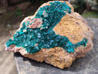 Natural Rare Dioptase Cabinet Specimen x 1 From Likasi, Congo - Toprock Gemstones and Minerals 
