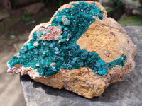 Natural Rare Dioptase Cabinet Specimen x 1 From Likasi, Congo