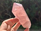 Polished Double Terminated Rose Quartz Points x 6 From Ambatondrazaka, Madagascar - Toprock Gemstones and Minerals 