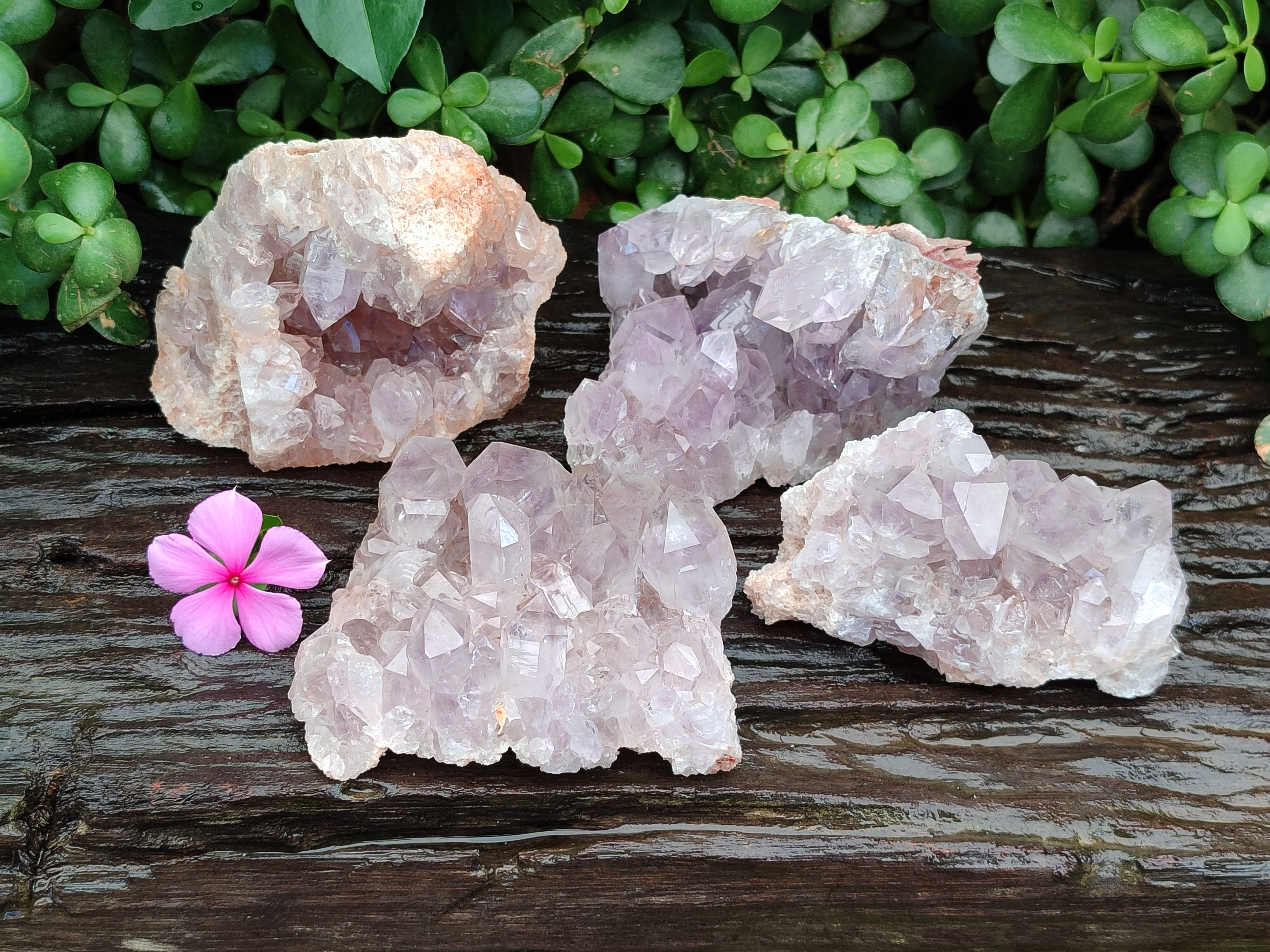 Natural Jacaranda Amethyst Quartz Clusters x 4 From Mumbwa, Zambia - Toprock Gemstones and Minerals 