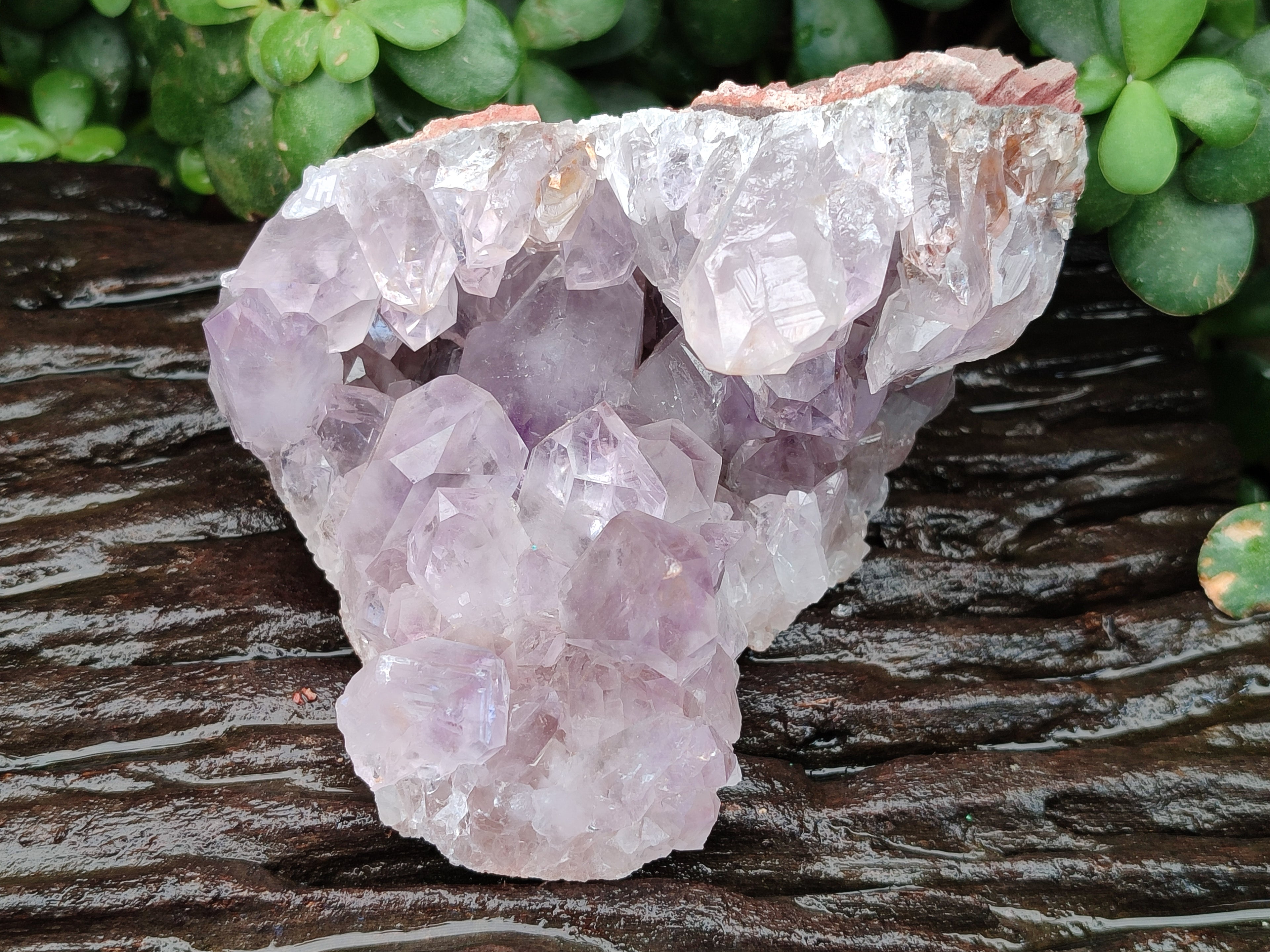 Natural Jacaranda Amethyst Quartz Clusters x 4 From Mumbwa, Zambia - Toprock Gemstones and Minerals 