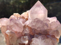 Natural Ametrine Cactus Spirit Quartz Clusters x 2 From South Africa