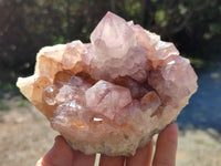 Natural Ametrine Cactus Spirit Quartz Clusters x 2 From South Africa