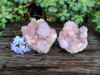 Natural Ametrine Cactus Spirit Quartz Clusters x 2 From South Africa