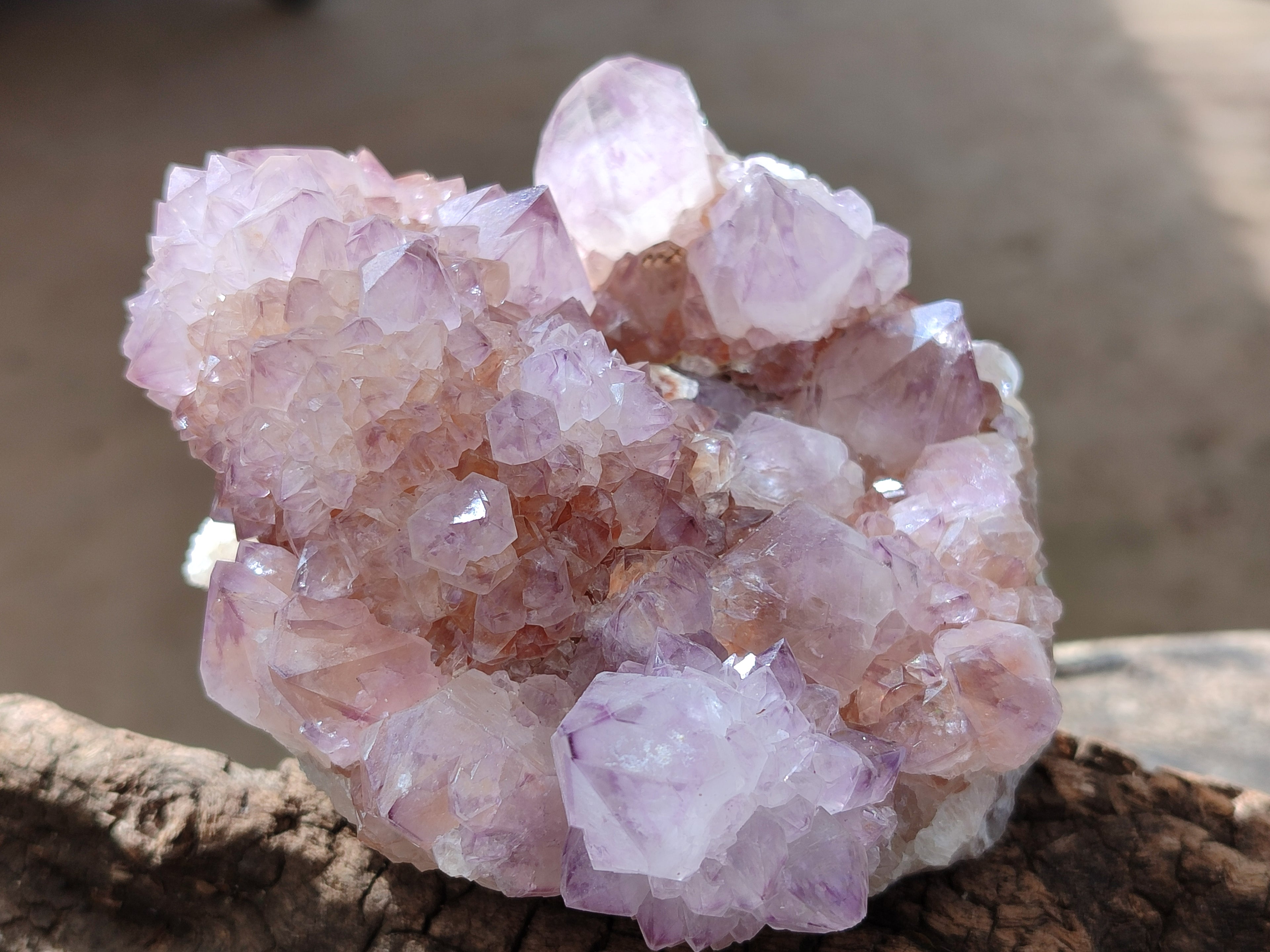 Natural Ametrine Cactus Spirit Quartz Clusters x 2 From South Africa - Toprock Gemstones and Minerals 
