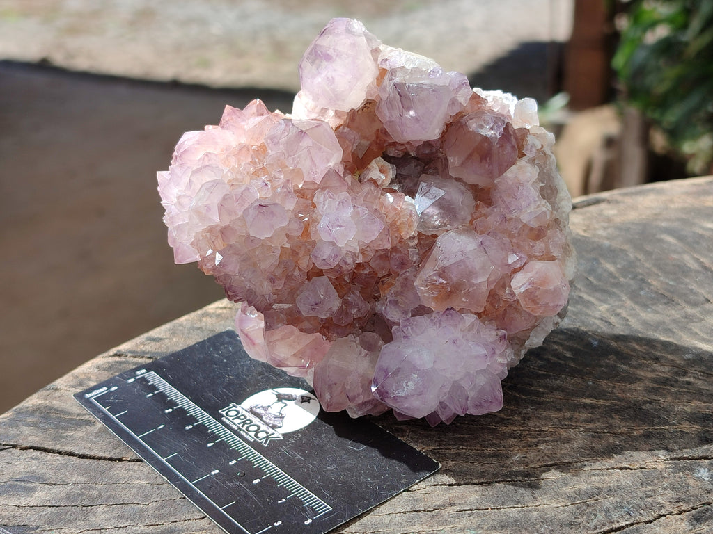 Natural Ametrine Cactus Spirit Quartz Clusters x 2 From South Africa - Toprock Gemstones and Minerals 