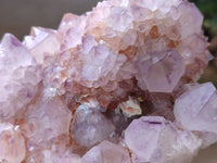 Natural Ametrine Cactus Spirit Quartz Clusters x 2 From South Africa