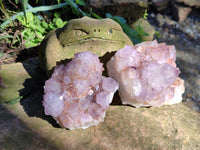Natural Ametrine Cactus Spirit Quartz Clusters x 2 From South Africa