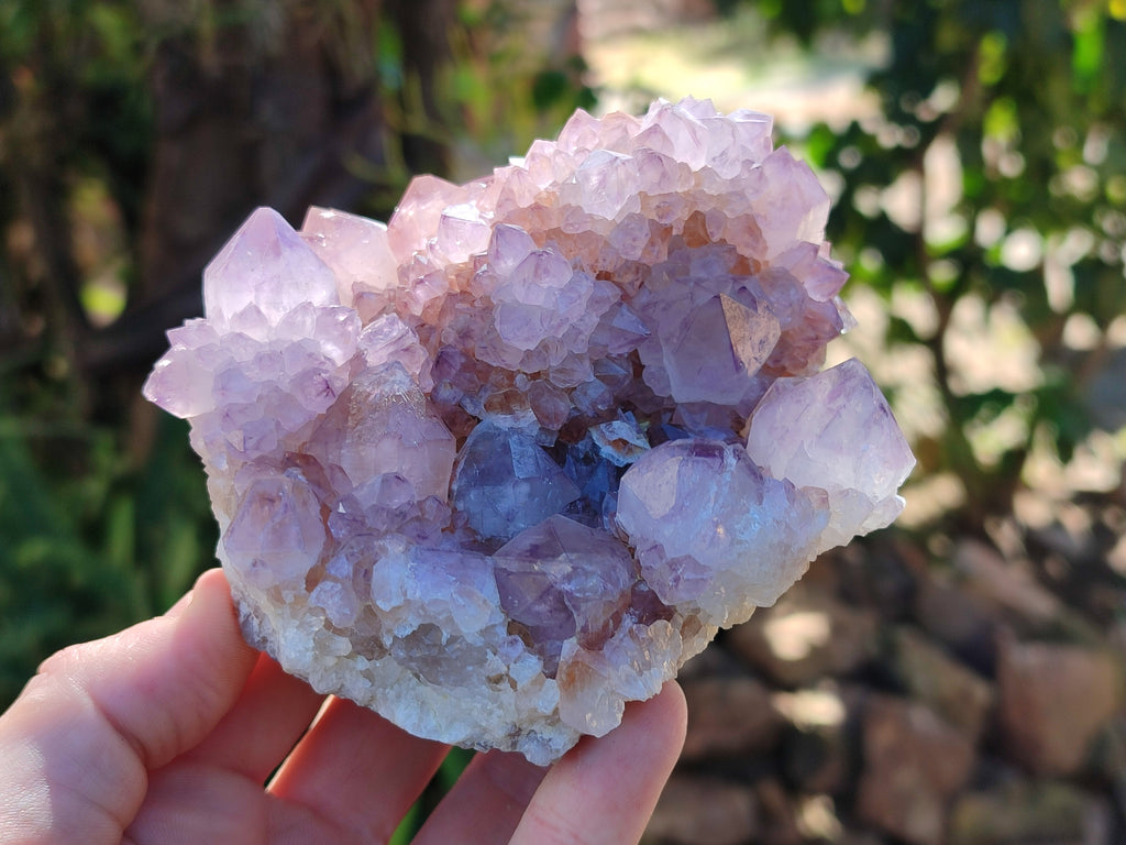 Natural Ametrine Cactus Spirit Quartz Clusters x 2 From South Africa - Toprock Gemstones and Minerals 