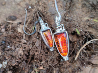 Polished Baltic Amber Earring and Pendant Sets on Sterling Silver - Sold Per Set - From Poland