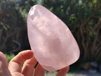 Polished Rose Quartz Standing Free Forms x 3 From Ambatondrazaka, Madagascar - Toprock Gemstones and Minerals 