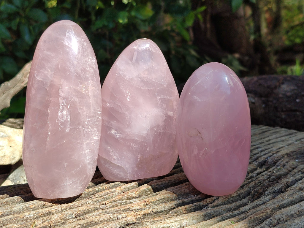 Polished Rose Quartz Standing Free Forms x 3 From Ambatondrazaka, Madagascar - Toprock Gemstones and Minerals 